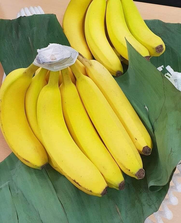 Indian-banana-supplier-cavendish