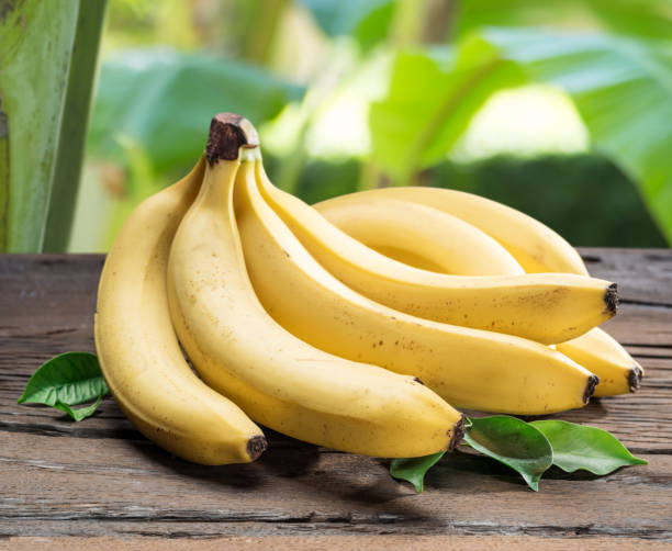 VK-Exim-Indian-Banana-Supplier-Fresh-G9-Cavendish-banana