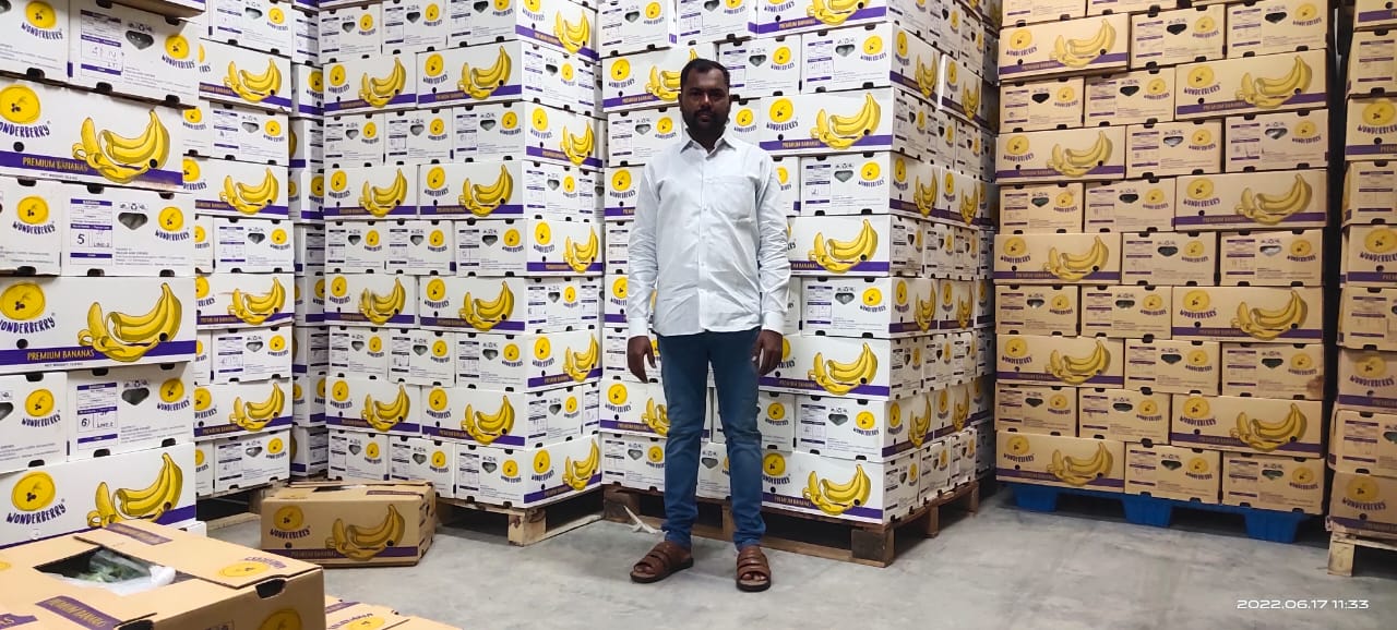 V_K_exim_Indian_Banana_supplier